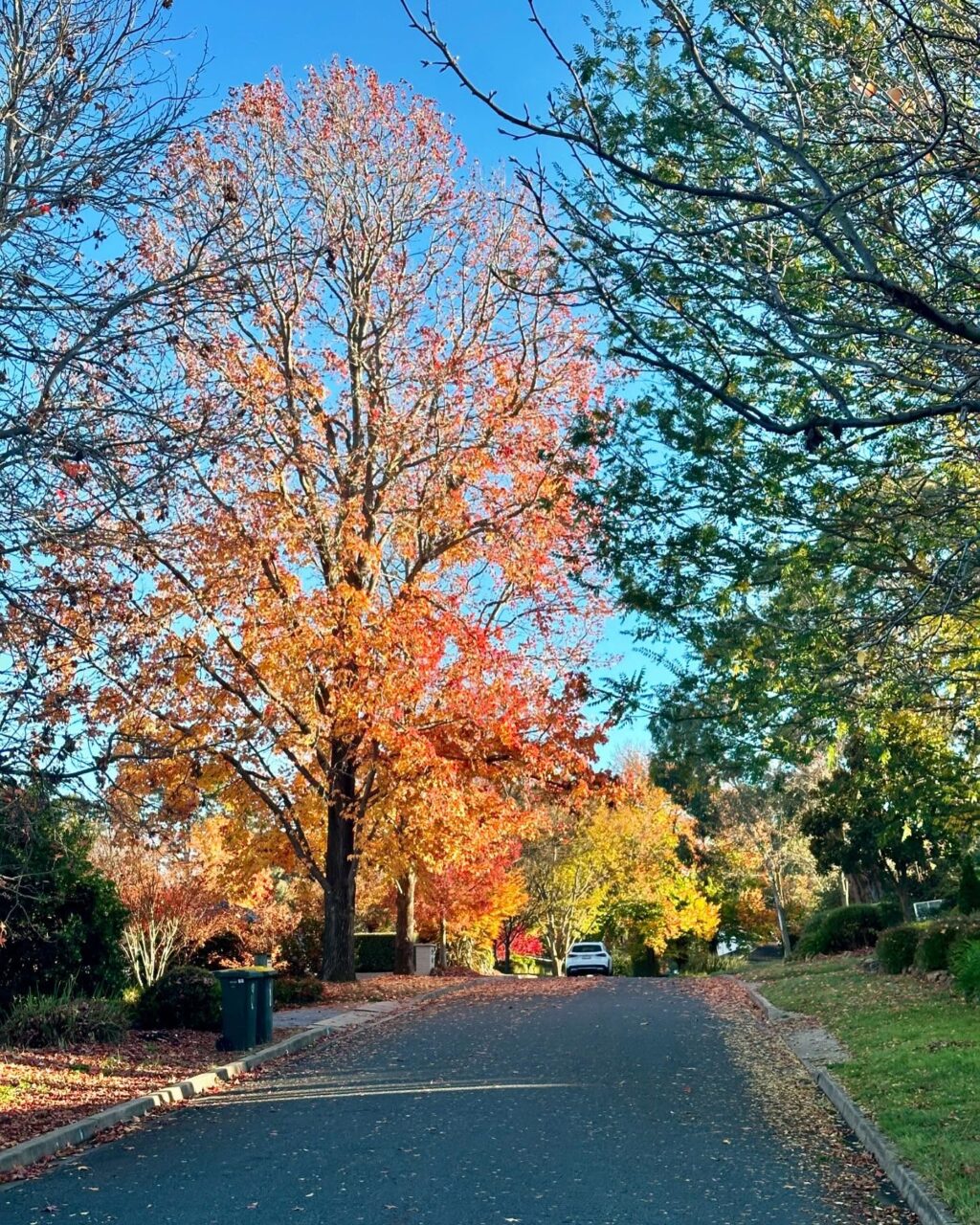 Instagram post from capital_plein_air. This post is in position 0.